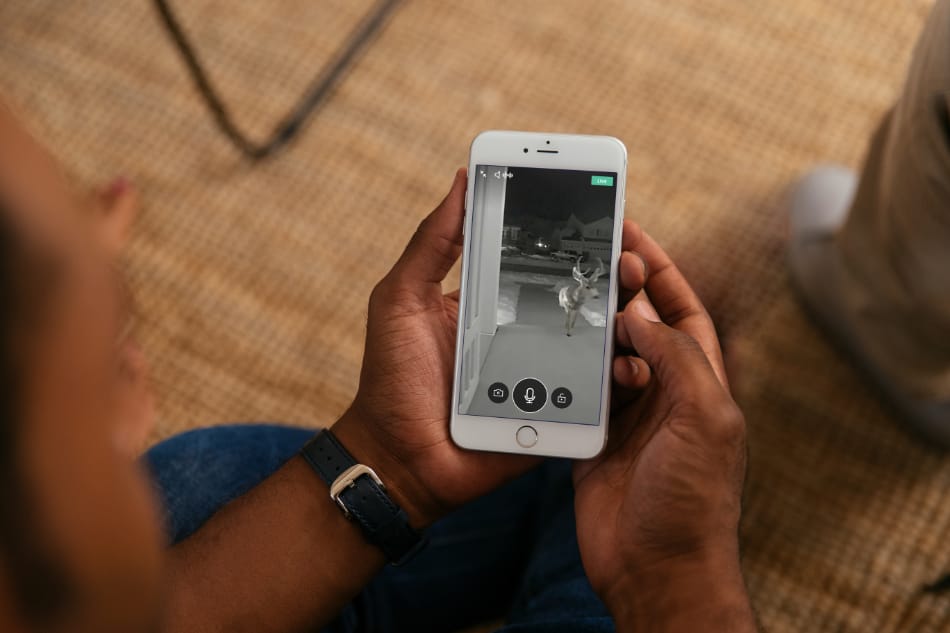 Dawsonville GA security system